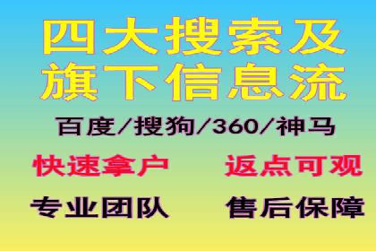 SEM服务公司成功案例解读